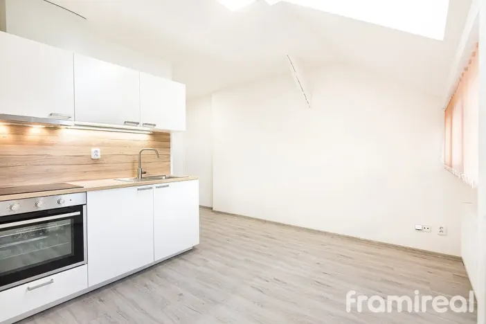 Pronájem bytu 1+kk, Brno - Pisárky, Hlinky, 19 m2