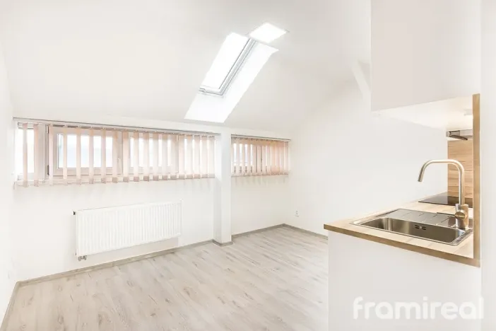 Pronájem bytu 1+kk, Brno - Pisárky, Hlinky, 19 m2