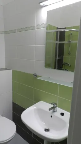 Pronájem bytu 2+kk, Praha - Žižkov, Fibichova, 60 m2