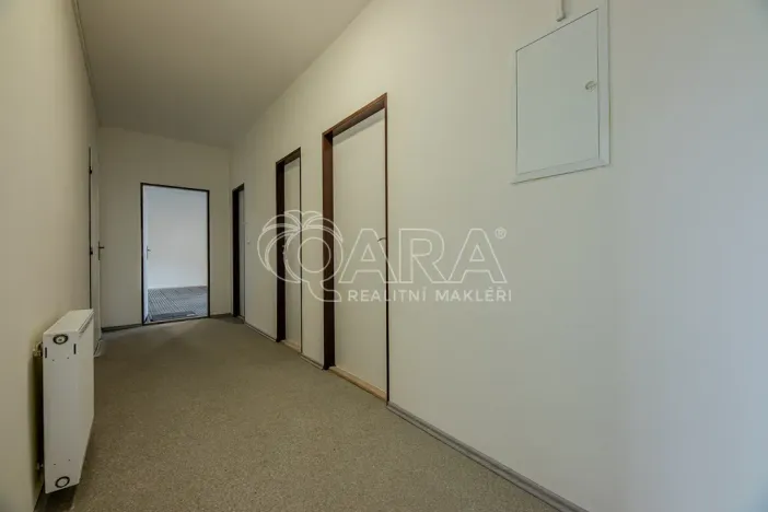 Pronájem obchodního prostoru, Vestec, Vestecká, 252 m2