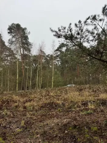 Prodej lesa, Libotenice, 63021 m2