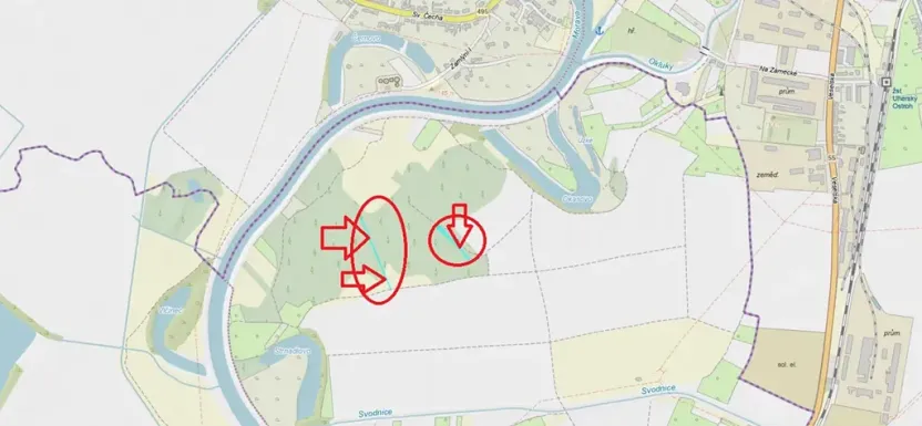 Prodej lesa, Veselí nad Moravou, 2272 m2