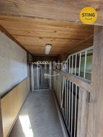 Pronájem zemědělského objektu, Tršice - Přestavlky, 190 m2