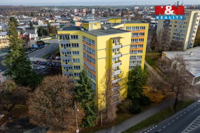 Prodej bytu 3+1, Opava - Předměstí, Krnovská, 72 m2