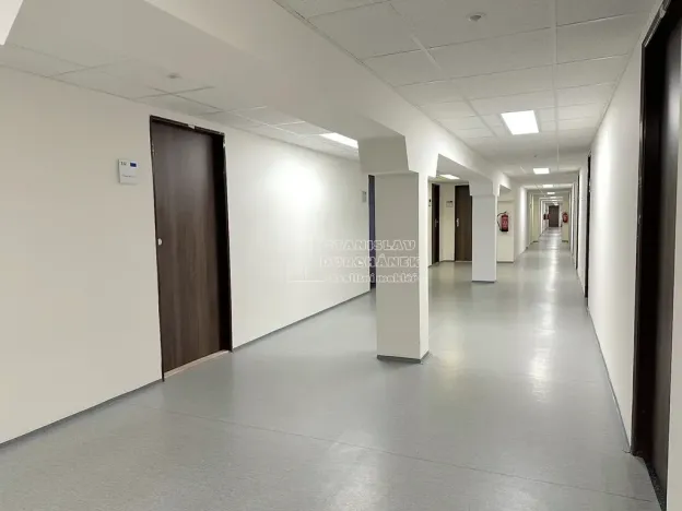 Pronájem kanceláře, Praha - Karlín, Thámova, 24 m2