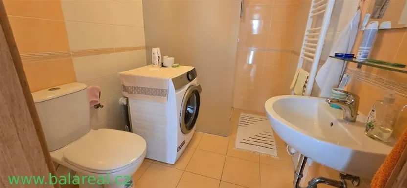 Prodej bytu 1+kk, Brod nad Dyjí, 34 m2