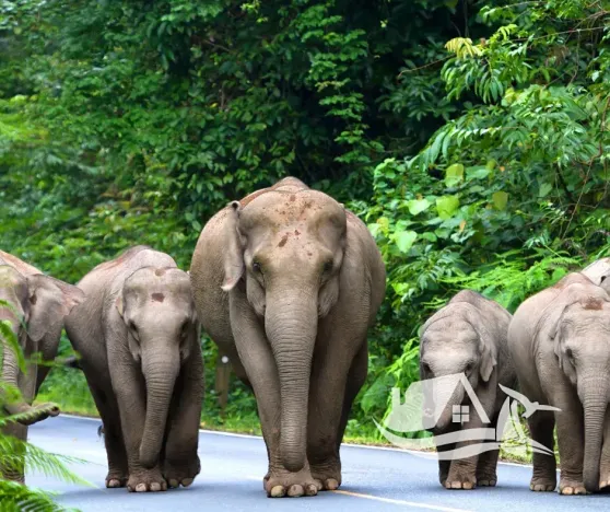 Prodej bytu 2+kk, Pattaya, Thajsko, 36 m2