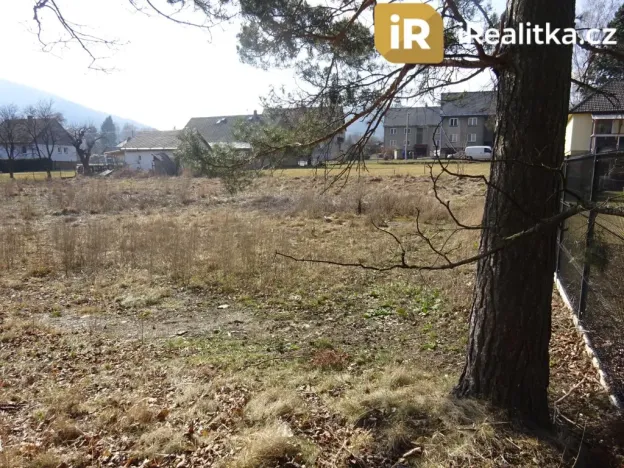 Prodej pozemku pro bydlení, Vrbno pod Pradědem - Mnichov, 3169 m2