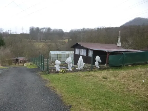 Prodej chaty, Děčín - Děčín VI-Letná, J. z Poděbrad, 30 m2