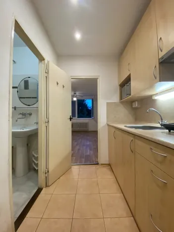 Pronájem bytu 1+kk, Brno - Královo Pole, Herčíkova, 29 m2
