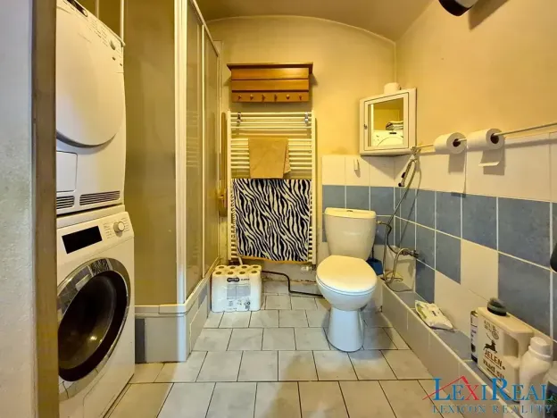 Prodej vícegeneračního domu, Kasejovice, 433 m2