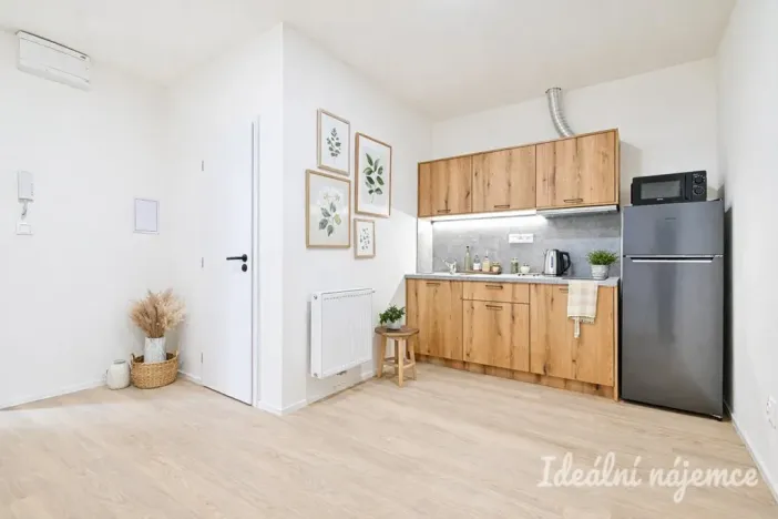 Pronájem bytu 2+kk, Brno, Bubeníčkova, 35 m2