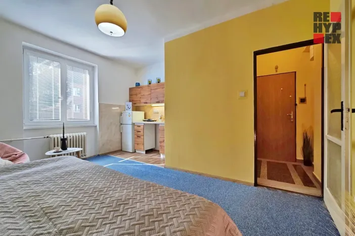 Pronájem bytu 1+kk, Liberec - Liberec V-Kristiánov, Stavbařů, 28 m2