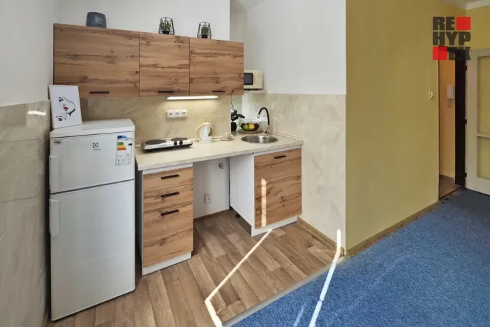 Pronájem bytu 1+kk, Liberec - Liberec V-Kristiánov, Stavbařů, 28 m2