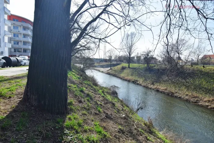 Prodej bytu 2+kk, Brno - Černovice, Zvěřinova, 43 m2