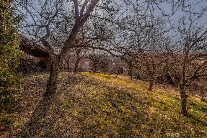 Prodej chalupy, Horní Dunajovice, 350 m2