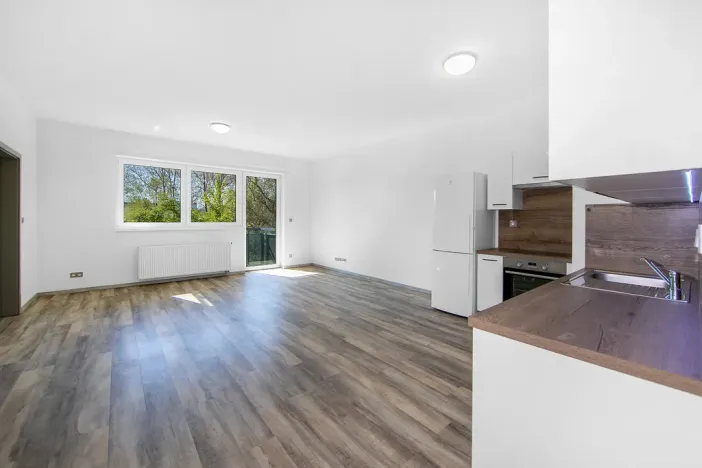 Pronájem bytu 2+kk, Plzeň - Severní Předměstí, Bolevecká, 58 m2