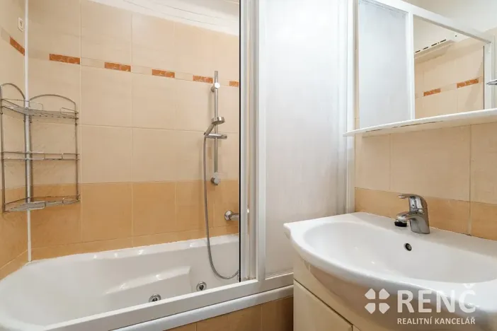 Prodej bytu 3+1, Brno, Krásného, 55 m2