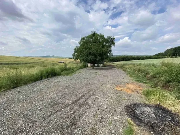 Dražba pozemku, Prusinovice, 2368 m2