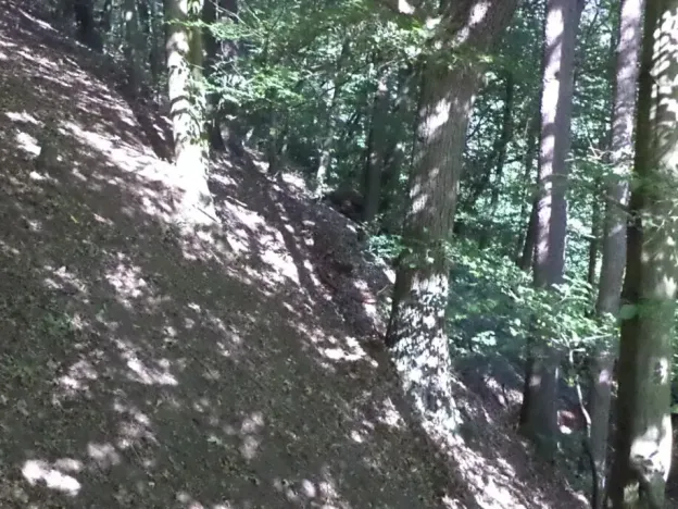 Dražba louky, Děčín, 675 m2