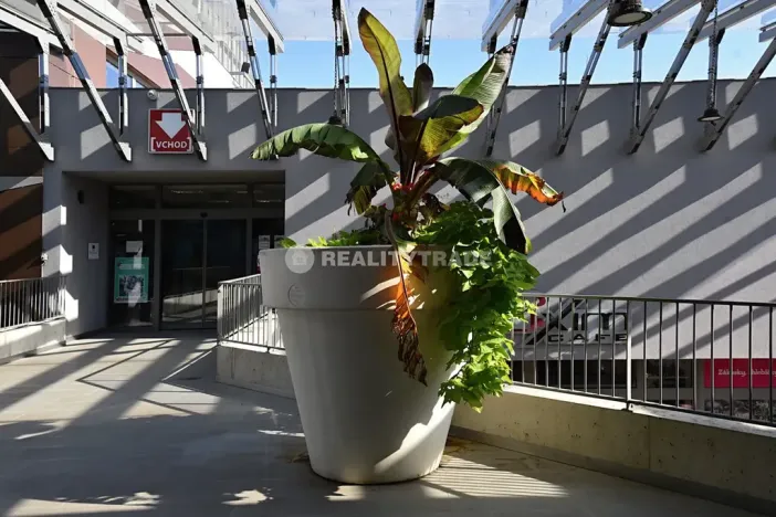 Pronájem obchodního prostoru, Strakonice, Bezděkovská, 58 m2