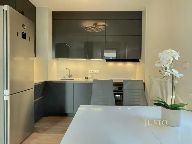 Pronájem bytu 2+kk, Praha - Žižkov, Olgy Havlové, 53 m2