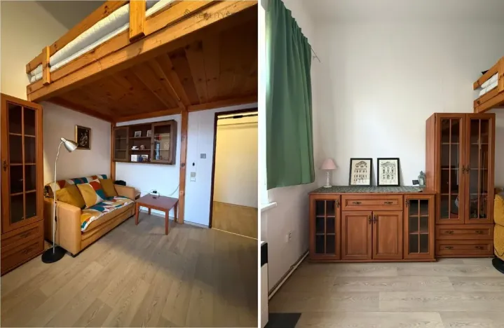 Pronájem bytu 1+kk, České Budějovice - České Budějovice 3, Nerudova, 38 m2