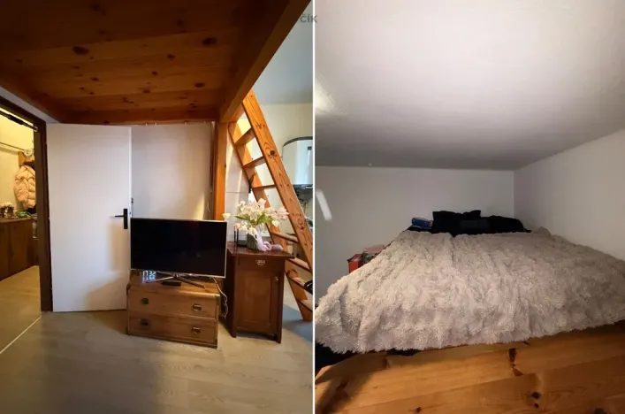 Pronájem bytu 1+kk, České Budějovice - České Budějovice 3, Nerudova, 38 m2