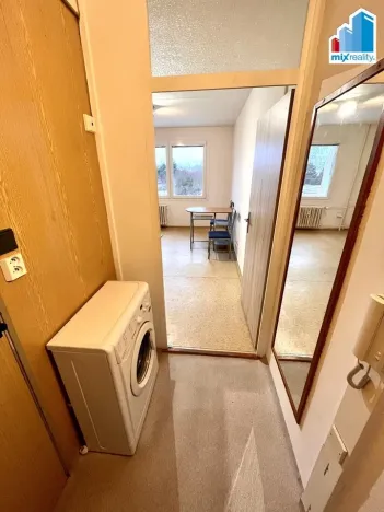 Pronájem bytu 1+kk, Horní Bříza, U Vrbky, 27 m2