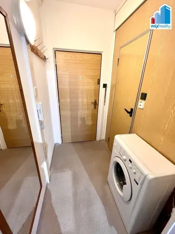 Pronájem bytu 1+kk, Horní Bříza, U Vrbky, 27 m2