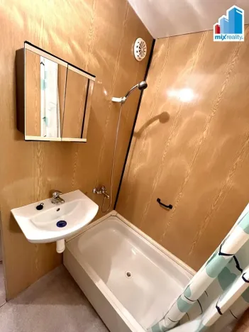 Pronájem bytu 1+kk, Horní Bříza, U Vrbky, 27 m2