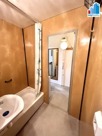 Pronájem bytu 1+kk, Horní Bříza, U Vrbky, 27 m2