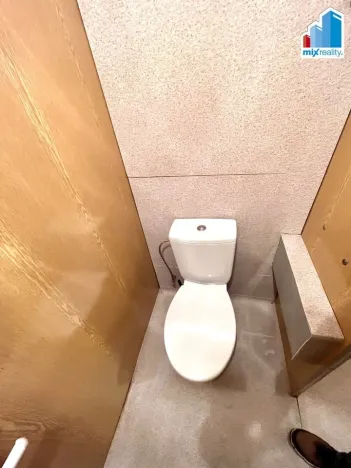 Pronájem bytu 1+kk, Horní Bříza, U Vrbky, 27 m2