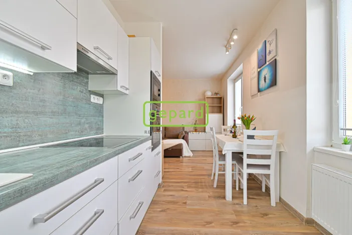 Pronájem bytu 2+kk, Brno - Horní Heršpice, Bednářova, 65 m2