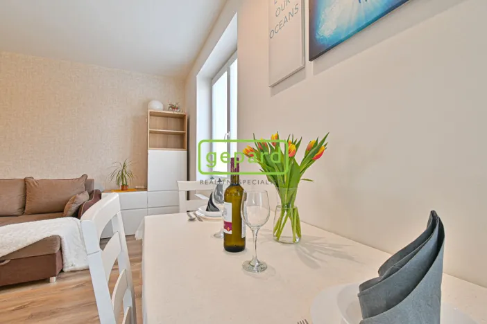 Pronájem bytu 2+kk, Brno - Horní Heršpice, Bednářova, 65 m2