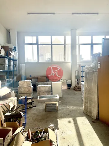 Pronájem obchodního prostoru, Ostrava, V Závětří, 250 m2