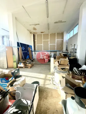 Pronájem obchodního prostoru, Ostrava, V Závětří, 250 m2