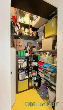 Pronájem bytu 3+kk, Praha - Žižkov, Buchovcova, 82 m2