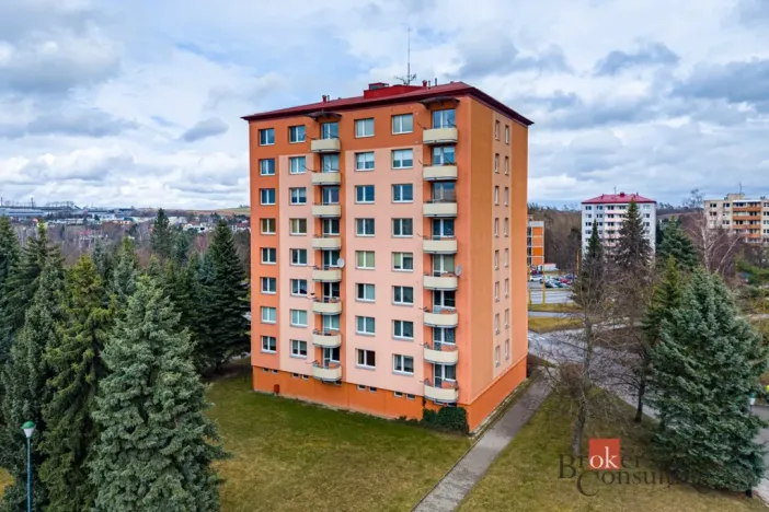 Prodej bytu 3+1, Jihlava, Březinova, 72 m2