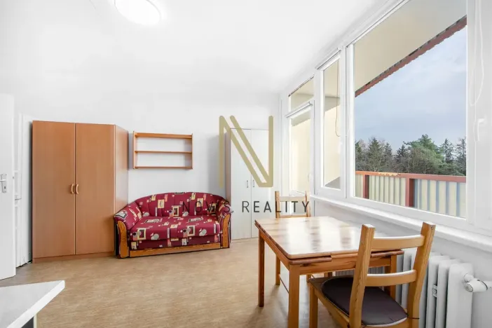 Pronájem bytu 1+1, Plzeň, Heyrovského, 36 m2