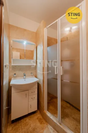 Prodej bytu 1+1, Opava, Holasická, 35 m2