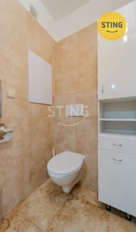 Prodej bytu 1+1, Opava, Holasická, 35 m2