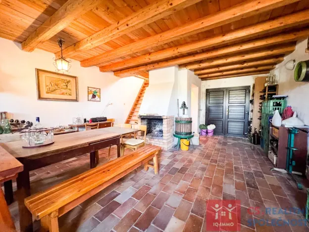 Prodej vinného sklepa, Znojmo, 150 m2