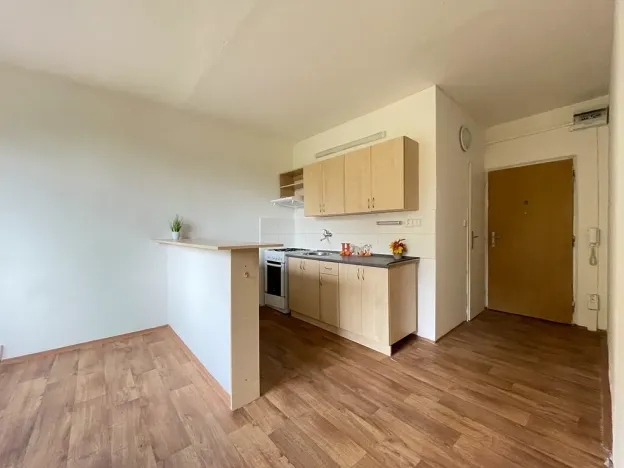 Pronájem bytu 1+1, Litvínov, Tylova, 38 m2