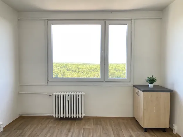 Pronájem bytu 1+1, Litvínov, Mládežnická, 38 m2