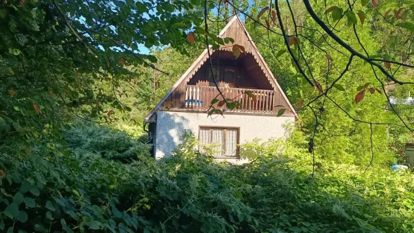 Prodej chaty, Borovnice, 60 m2