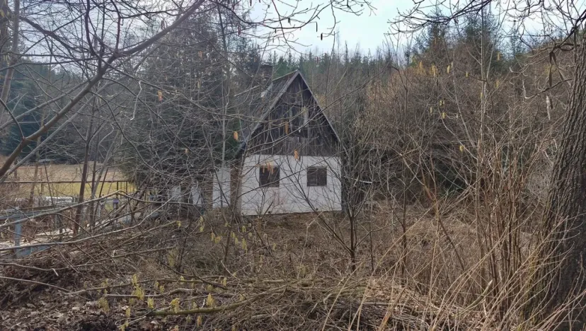 Prodej chaty, Borovnice, 60 m2