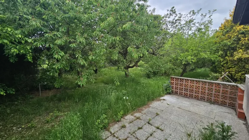 Prodej chaty, Praha - Dejvice, Na Pučálce, 21 m2