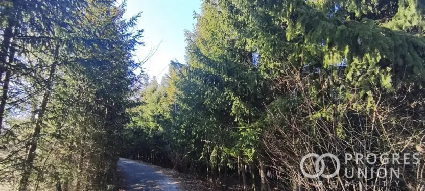 Prodej lesa, Lhota u Vsetína, 3762 m2