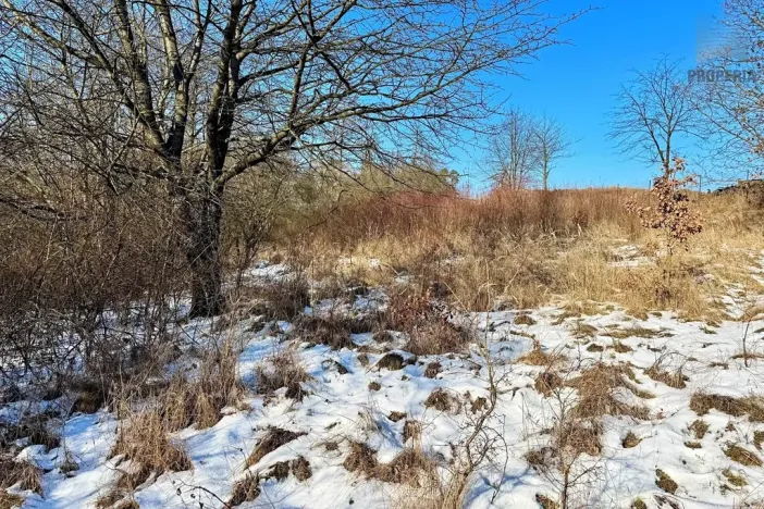 Prodej pozemku pro bydlení, Letovice, 1845 m2